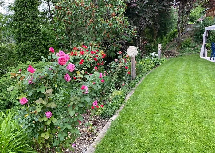 Monis Lejlighed Stuhlingen